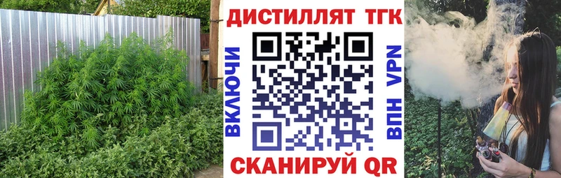 Купить  Рыбинск  ТГК гашишное масло 